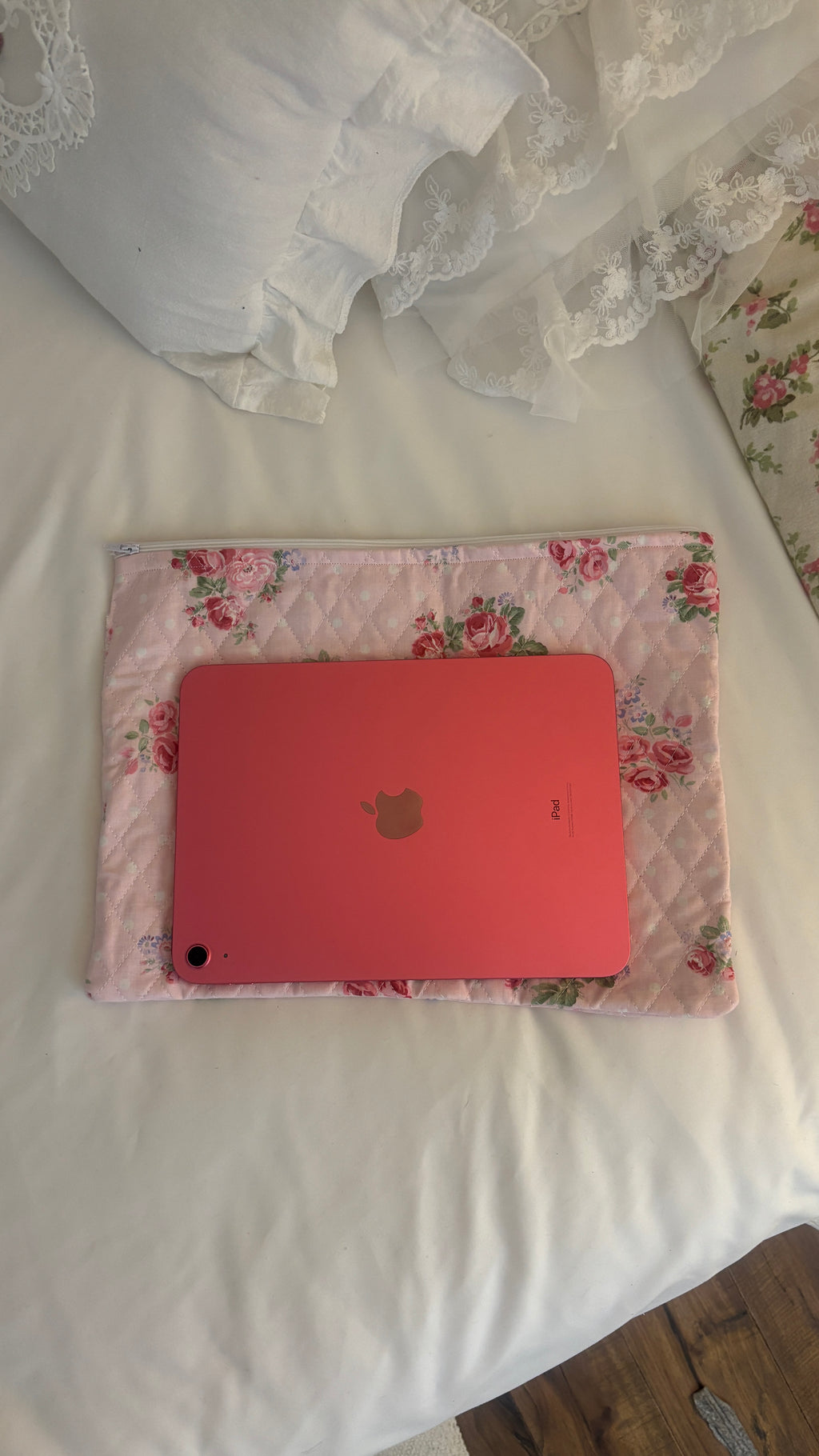 ipad / laptop case