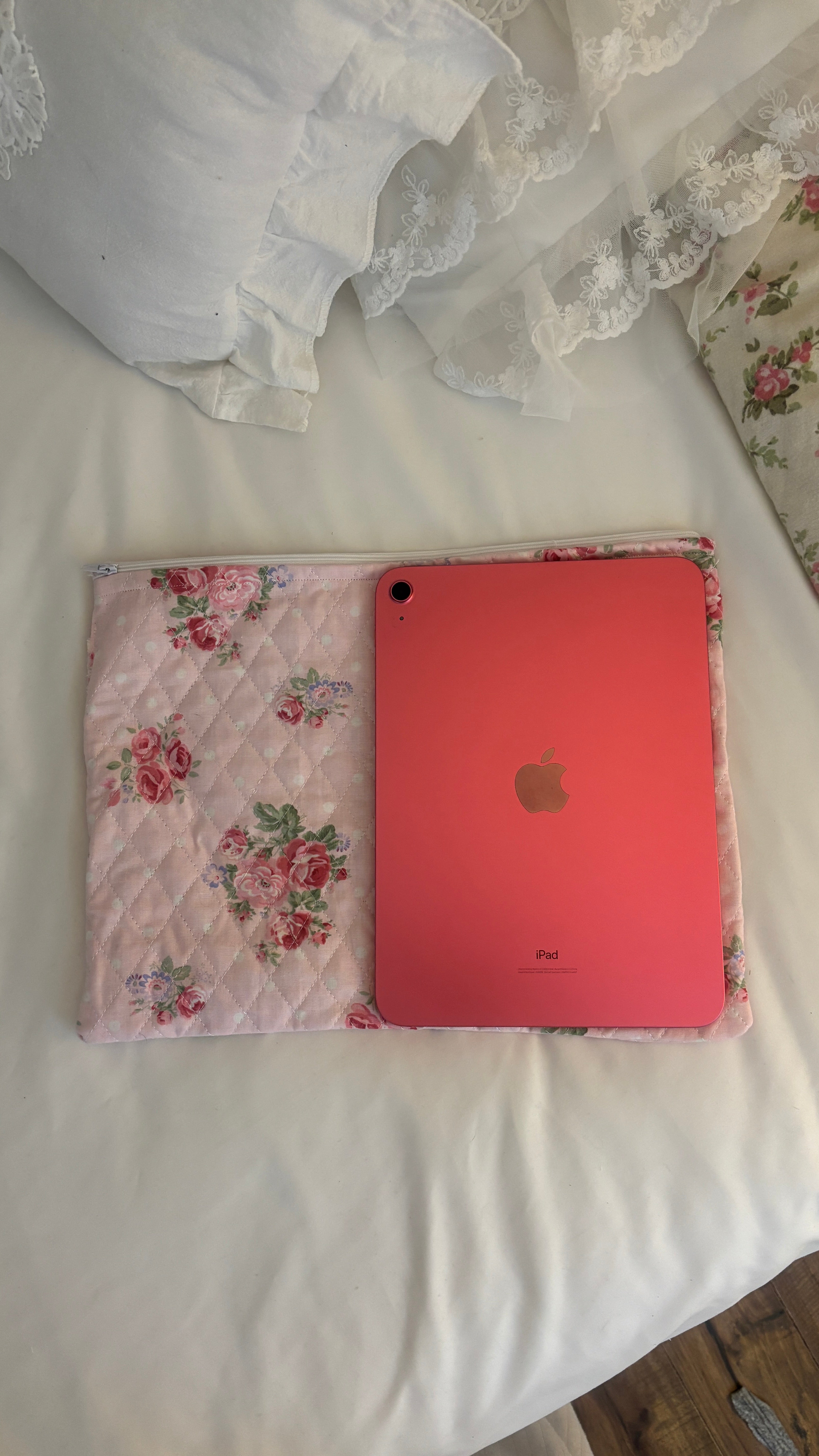 ipad / laptop case