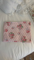 ipad / laptop case